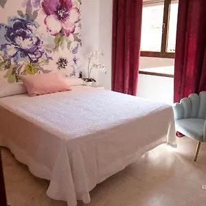 https://plaza-de-la-estacion.hotelsincadiz.net
